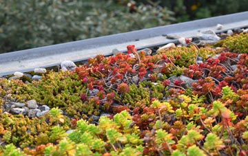 the cost of Sale green roof installation