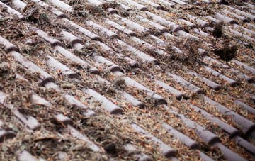 Sale roof cleaning companies